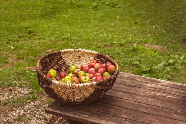 Weidenkorb mit Äpfeln auf altem Holztisch im Garten — Stockfoto