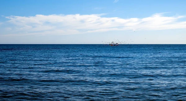 Gaviotas que sobrevuelan el buque pesquero — Foto de Stock