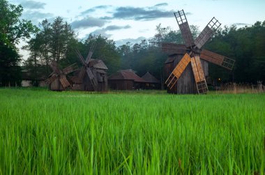 Astra Müzesi Sibiu gelen rüzgar değirmenleri ile Peyzaj