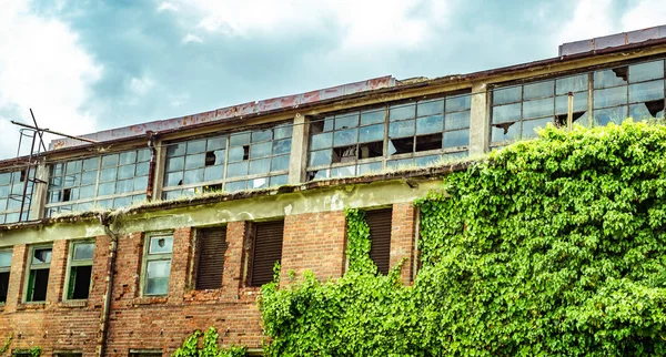 Abandoned factory warehouse with broken windows and covered in g — Stock Photo, Image