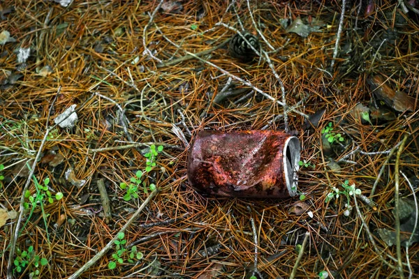 Oude roestige drank kan in het gras — Stockfoto