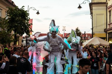 Almanya'dan Bukalemunlar dans ekibi