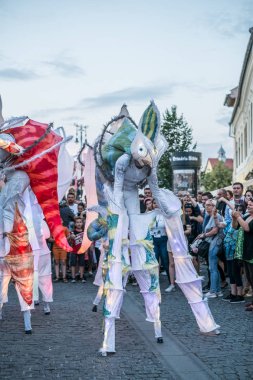 Almanya'dan Bukalemunlar dans ekibi