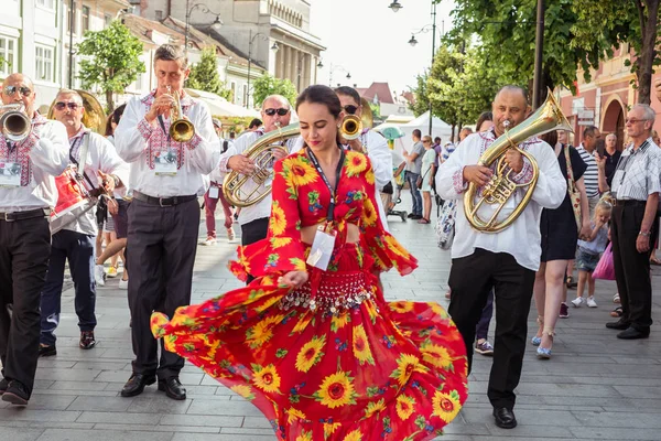 Die Blaskapelle aus Cozme � ti — Stockfoto