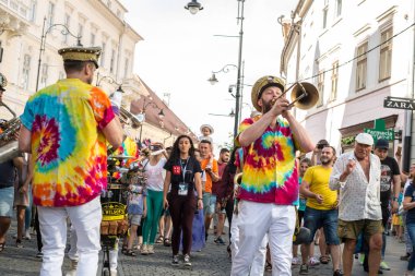 Bay Wilson'ın İkinci Gömlekleri