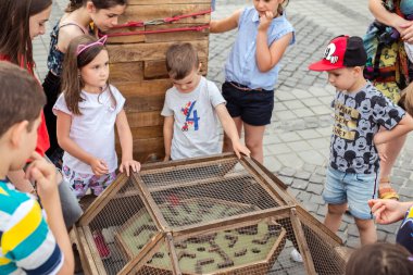 Bay Tonet'in Garip Yolculuğu