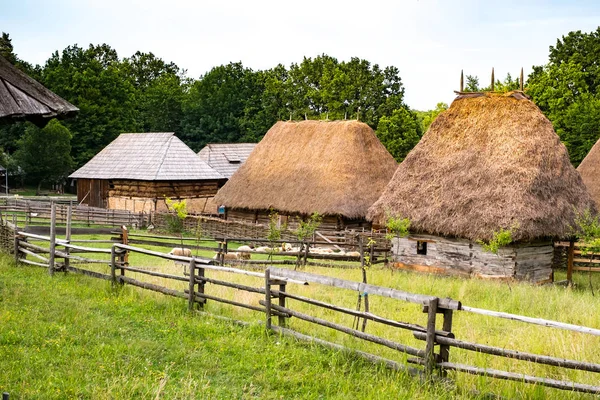 Typisch Roemeens dorp met oude boerenhuizen — Stockfoto