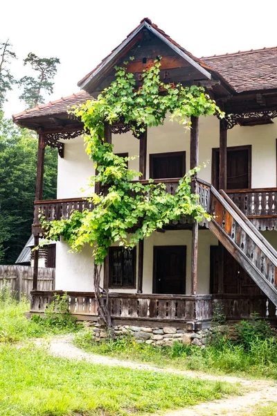 Typisches rumänisches Dorf mit alten Bauernhäusern — Stockfoto