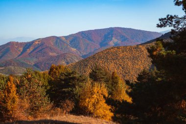 Güneşli sonbahar manzara