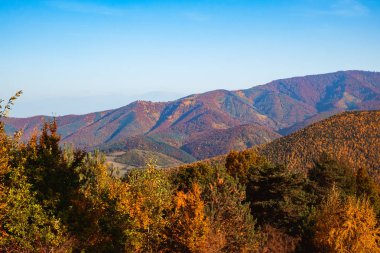 Güneşli sonbahar manzara