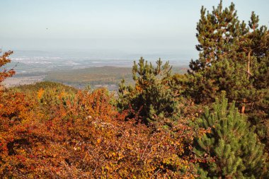 Güneşli sonbahar manzara