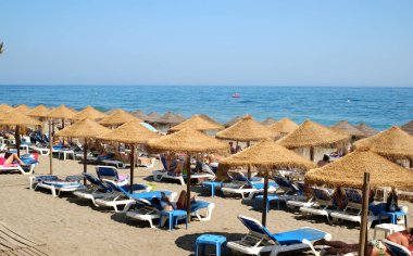 Mediterr kıyısında palmiye ağaçları ile plajda insanlar