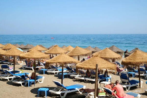 Mediterr kıyısında palmiye ağaçları ile plajda insanlar