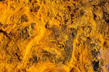 nehir boyunca pırıl pırıl altın alüvyonlar