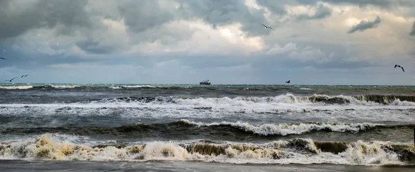 Шторм в море с рыбацкой лодкой вдалеке и чайка мухи — стоковое фото