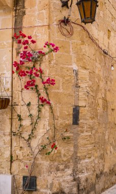 Mdina 'dan sokak sahnesi, Malta-sessiz şehir