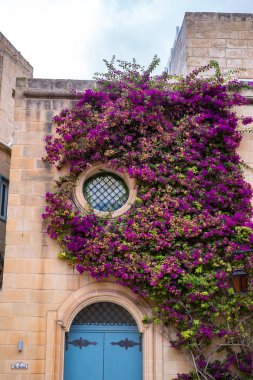 Mdina 'dan sokak sahnesi, Malta-sessiz şehir