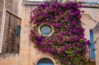 Mdina 'dan sokak sahnesi, Malta-sessiz şehir