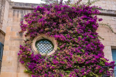 Mdina 'dan sokak sahnesi, Malta-sessiz şehir