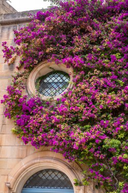 Mdina 'dan sokak sahnesi, Malta-sessiz şehir