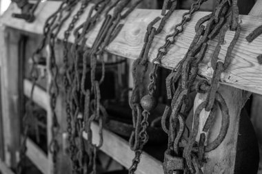 Malta'da Popeye koyu