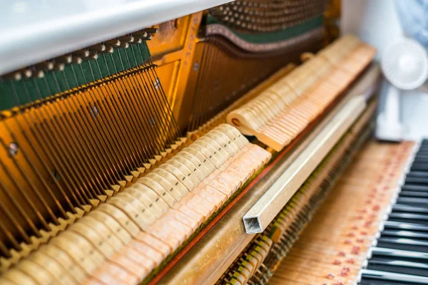 details inside of the piano with keyboards and piano-string