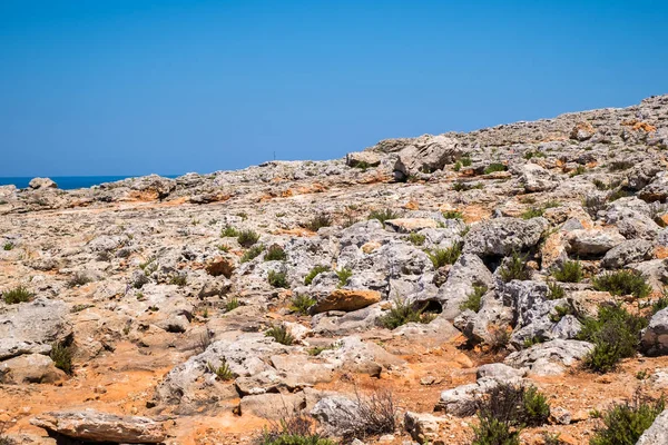 Grov kust på Comino Island, Malta — Stockfoto