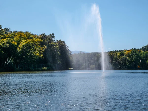 Фонтан розбризкує воду на тлі лісу — стокове фото