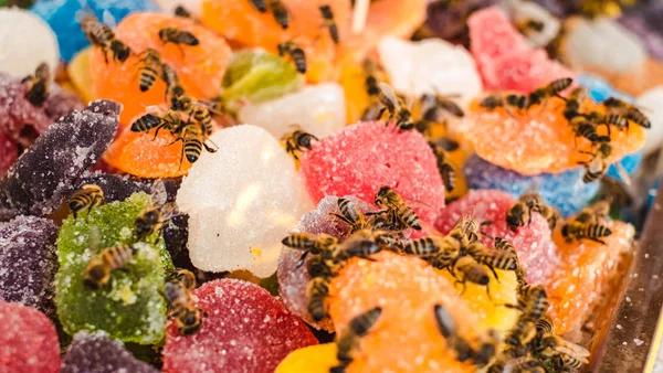 Bienen auf Gelee mischen Zucker aufrollen süßes Gelee und schmecken Früchte — Stockfoto