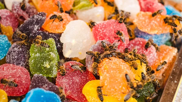 Méhek zselés mix cukorral roll fel édes zselé és íze gyümölcs — Stock Fotó