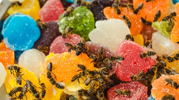 Bin på gelé blanda socker rulla upp söt gelé och smak frukt — Stockfoto