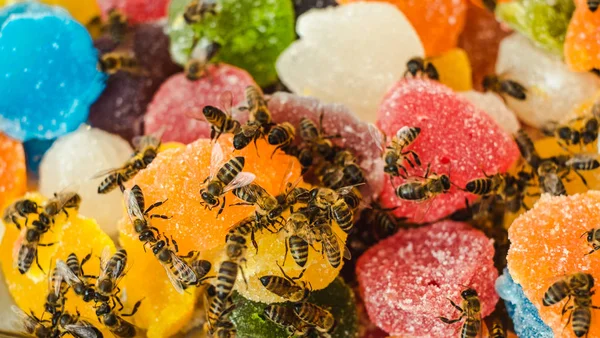 Jöle karışımı şeker üzerinde arılar tatlı jöle ve lezzet meyve rulo — Stok fotoğraf