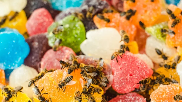 Bin på gelé blanda socker rulla upp söt gelé och smak frukt — Stockfoto