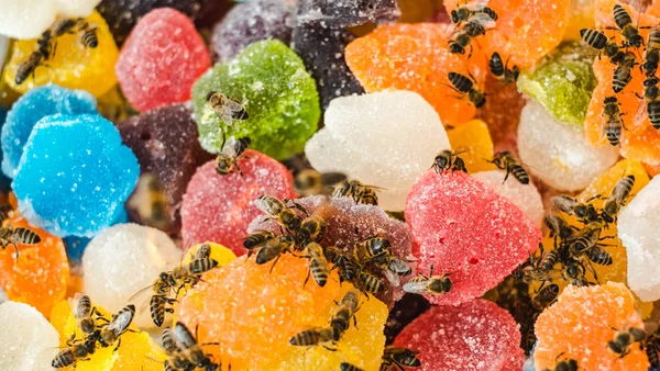 Bienen auf Gelee mischen Zucker aufrollen süßes Gelee und schmecken Früchte — Stockfoto