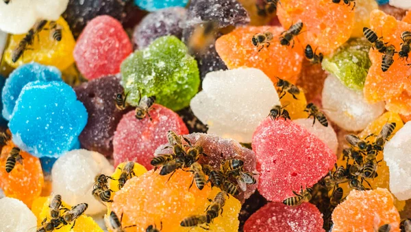 Bienen auf Gelee mischen Zucker aufrollen süßes Gelee und schmecken Früchte — Stockfoto