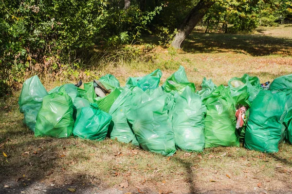 Garbage bags thrown into the forest — Stock Photo, Image