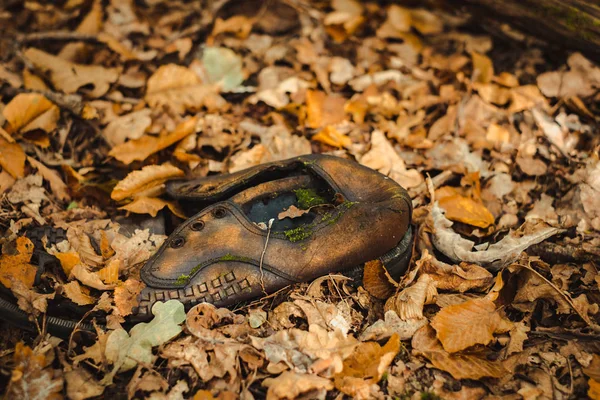 Um sapato de couro jogado na floresta — Fotografia de Stock