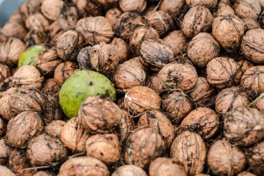 Taze toplanmış ceviz arkaplan dokusu