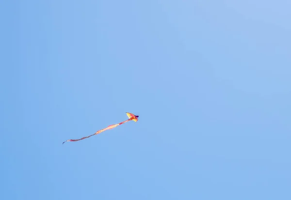 Kite on the blue sky — Stock Photo, Image