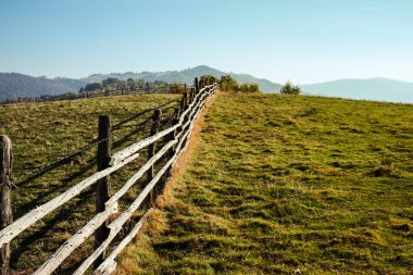 Dikenli telli eski ahşap çit