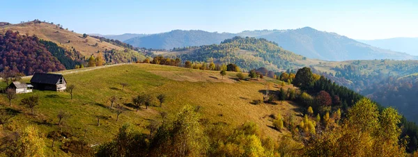 Velha ovelha no topo da colina na temporada de outono — Fotografia de Stock
