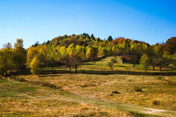 Keresztül az őszi bükkerdő — Stock Fotó