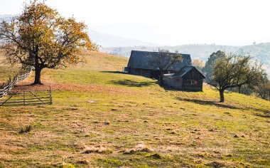 Sonbahar mevsiminde tepeler, Fantanele köyü, Sibiu ilçesi, Roma