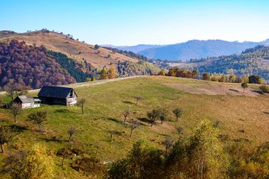 Sonbahar mevsiminde tepeler, Fantanele köyü, Sibiu ilçesi, Roma