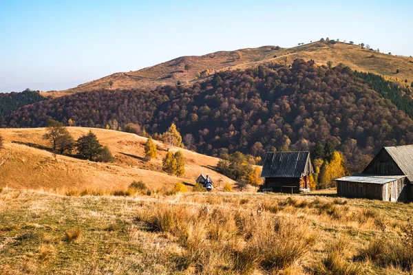 Пагорби осіннього сезону, село Фантанеле, округ Сібіу, Роман — стокове фото