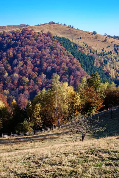 Heuvels in het najaar, Fantanele dorp, provincie Sibiu, Romeins — Stockfoto