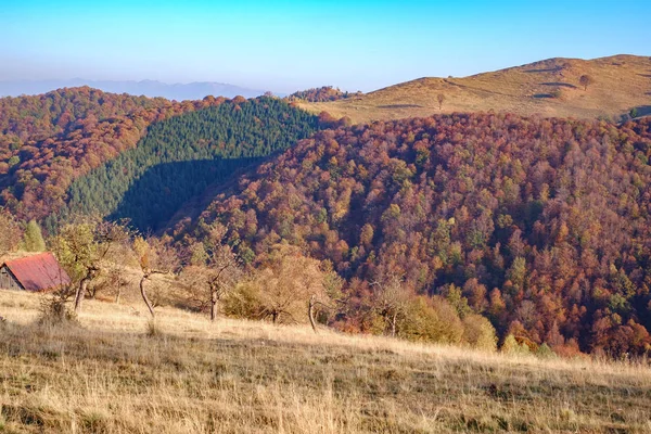 Hügel in der Herbstsaison, Fantanele Dorf, Sibiu County, römischen — Stockfoto