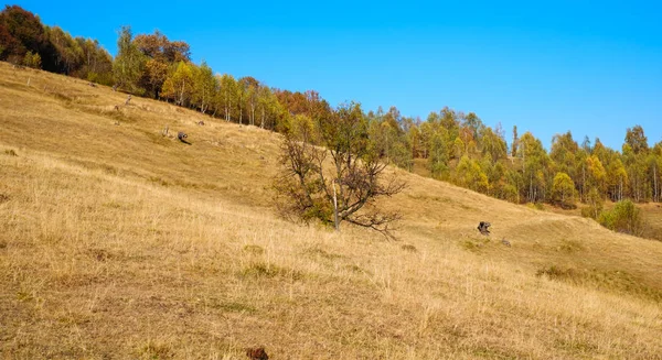Colinas na temporada de outono, Aldeia Fantanele, Condado de Sibiu, Roman — Fotografia de Stock