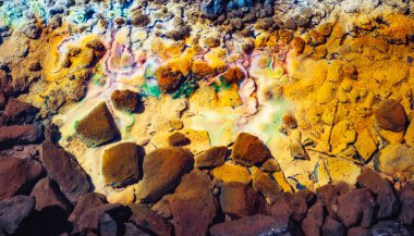 Gölün kenarı zehirli madencilik kimyasallarıyla kirlenmiş.