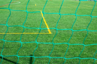 Futbol sahasında doğal çimenler görünüyor.